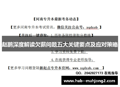 赵鹏深度解读欠薪问题五大关键要点及应对策略